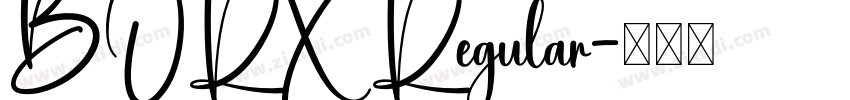 BORX Regular字体转换